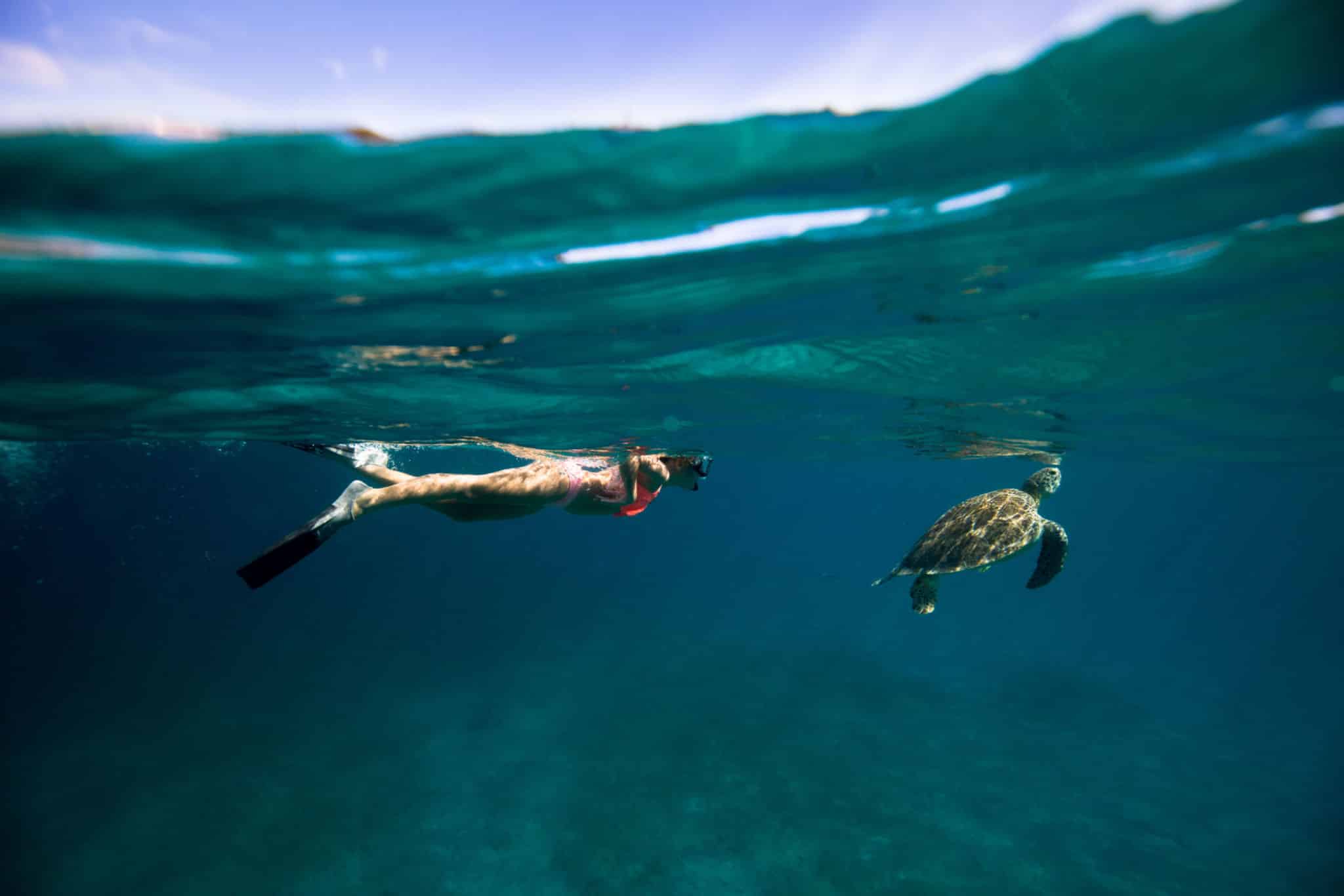 You can’t come to St. Thomas and not swim with sea turtles.  You’ll find them playing in the waters all over the USVI,  but one of the best spots is Magens Bay.  Go on a calm day for ideal conditions.